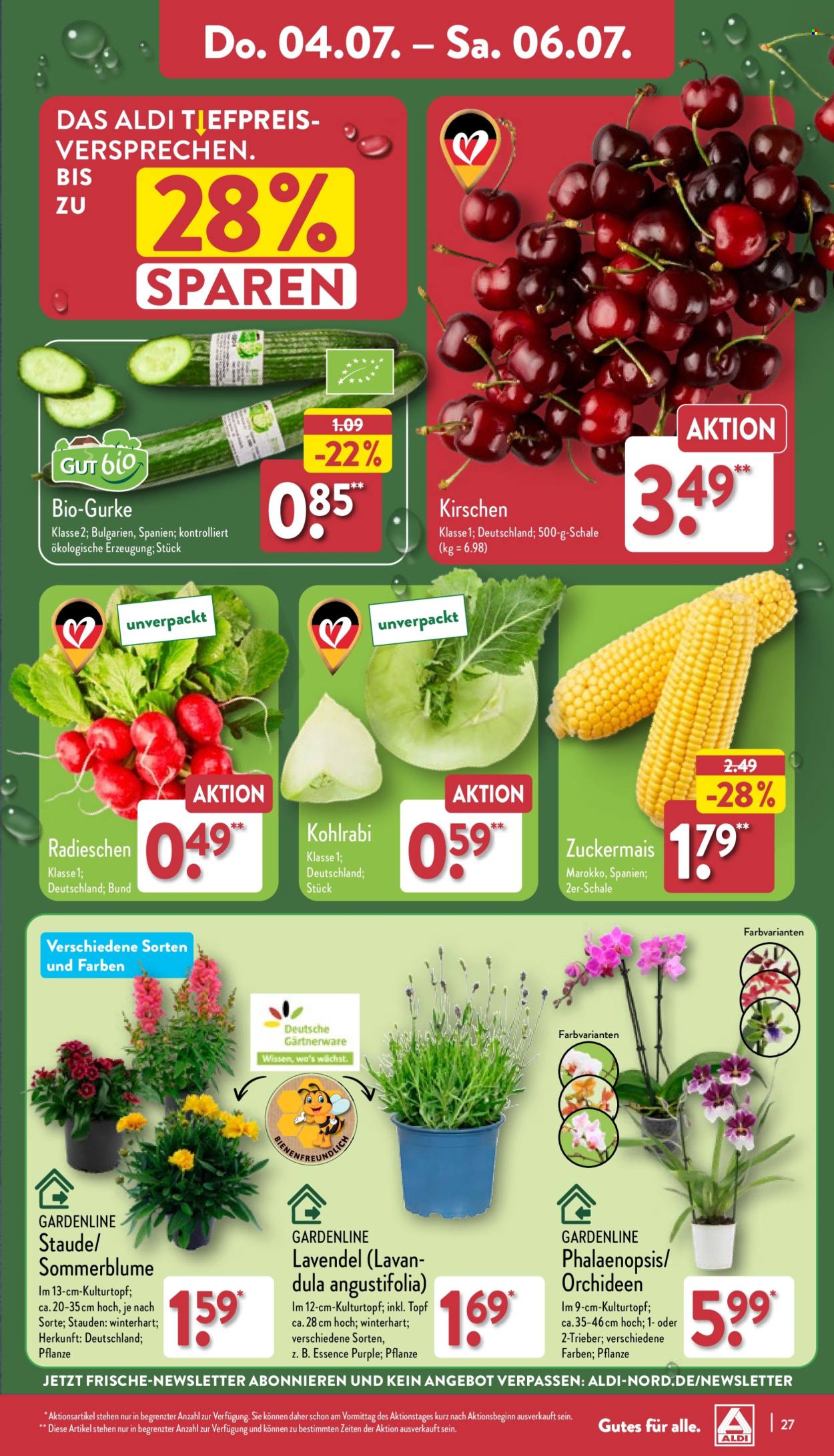thumbnail - Prospekte ALDI Nord - 1.07.2024 - 6.07.2024 - Produkte in Aktion - Bio-Gemüse, Gurken, Salatgurke, Kirschen, Radieschen, Kohlrabi, Mais, Draußen-Pflanze, Gardenline, Stauden, Lavendel, Orchidee. Seite 27.