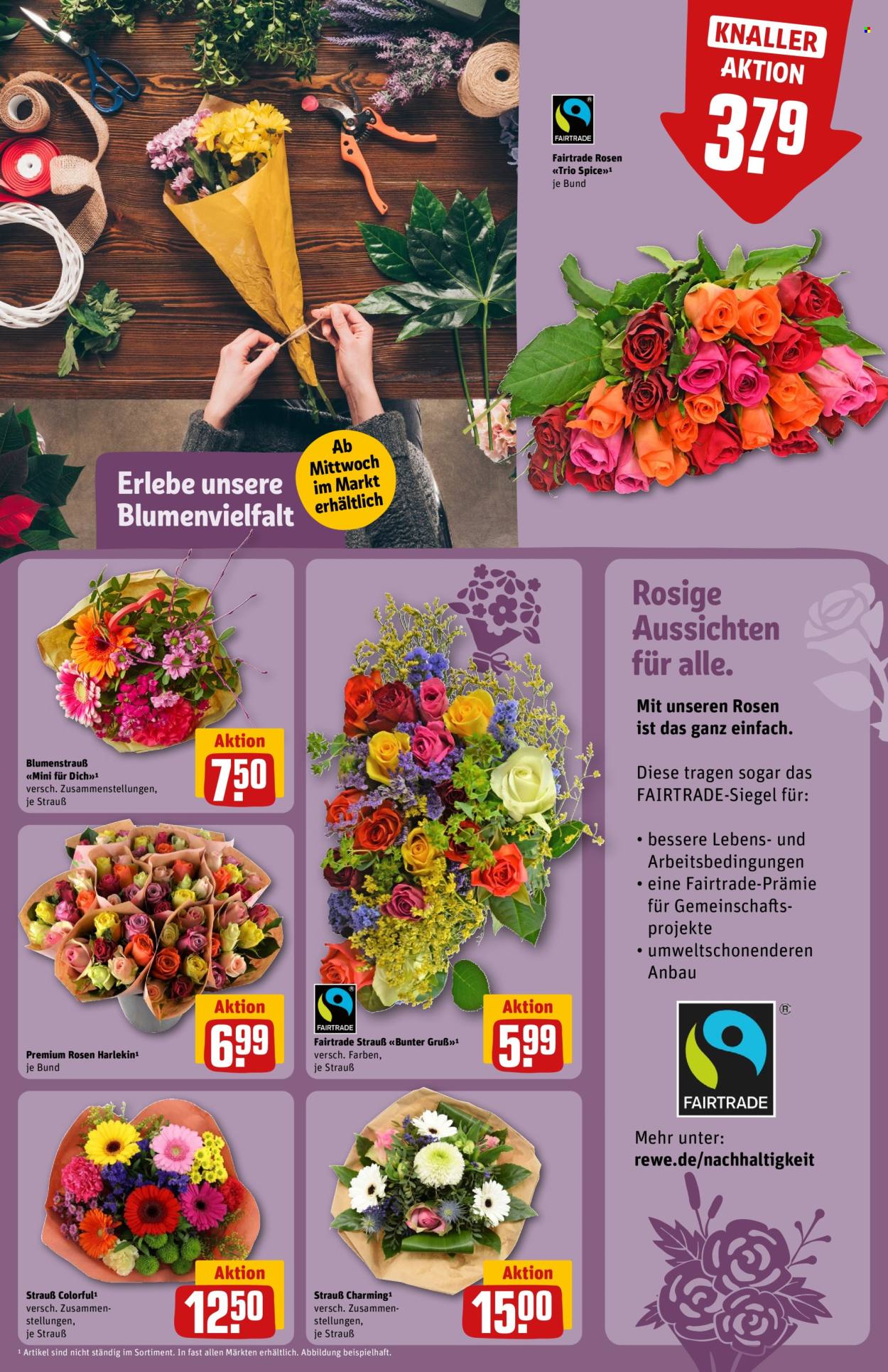 Prospekte REWE - 23.09.2024 - 28.09.2024. Seite 13