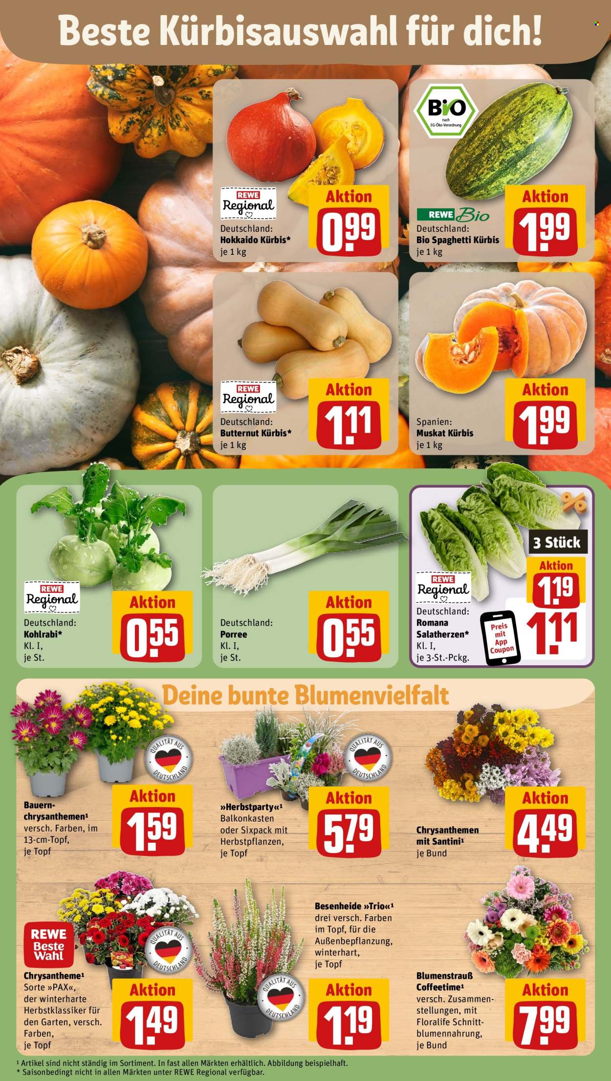 Prospekte REWE - 7.10.2024 - 12.10.2024. Seite 7