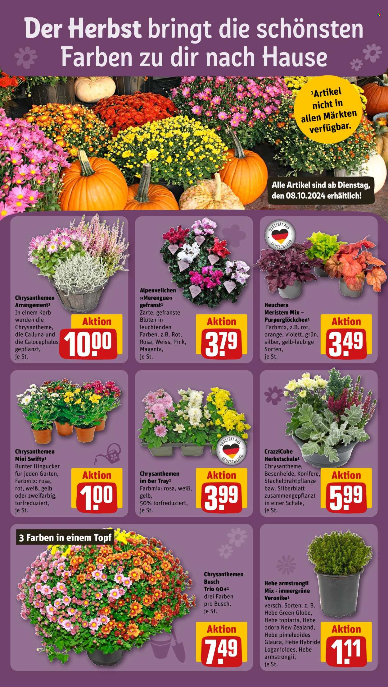 Prospekte REWE - 7.10.2024 - 12.10.2024. Seite 8