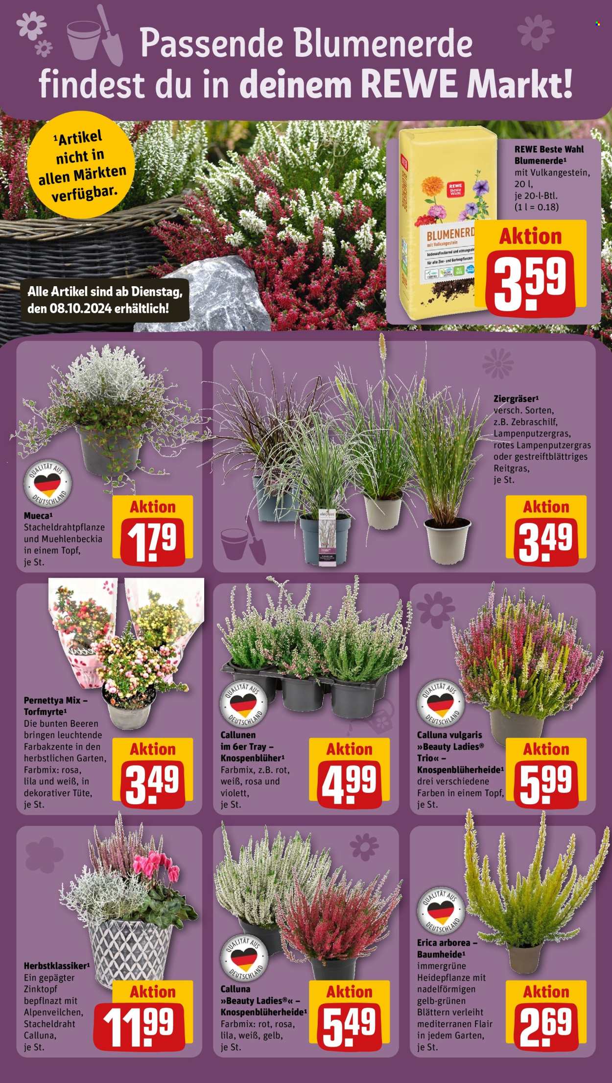 Prospekte REWE - 7.10.2024 - 12.10.2024. Seite 9