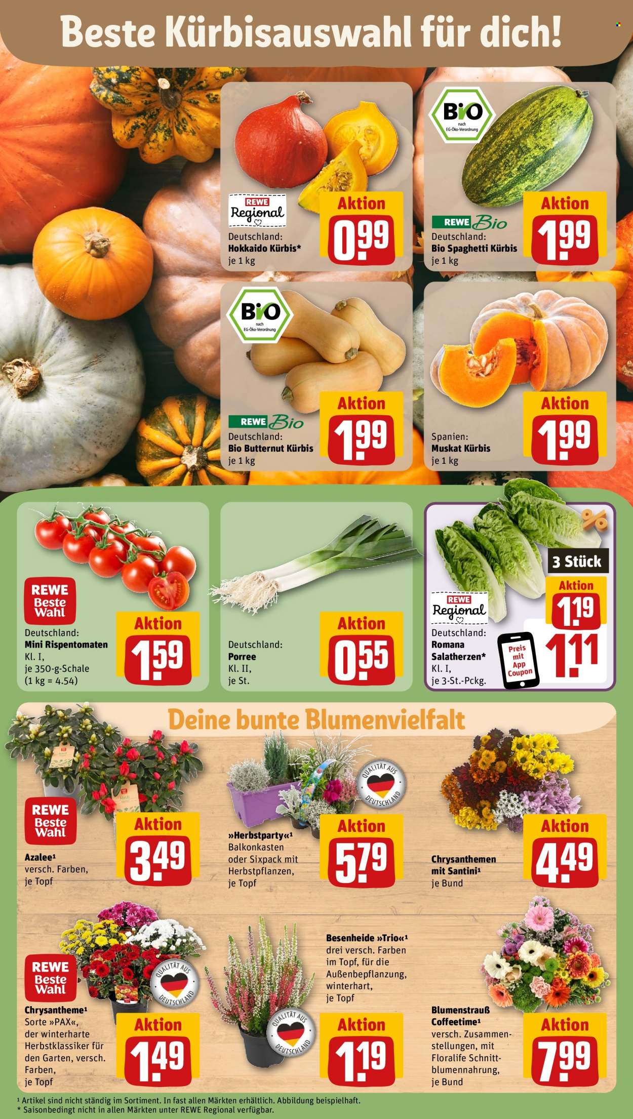 Prospekte REWE - 7.10.2024 - 12.10.2024. Seite 7