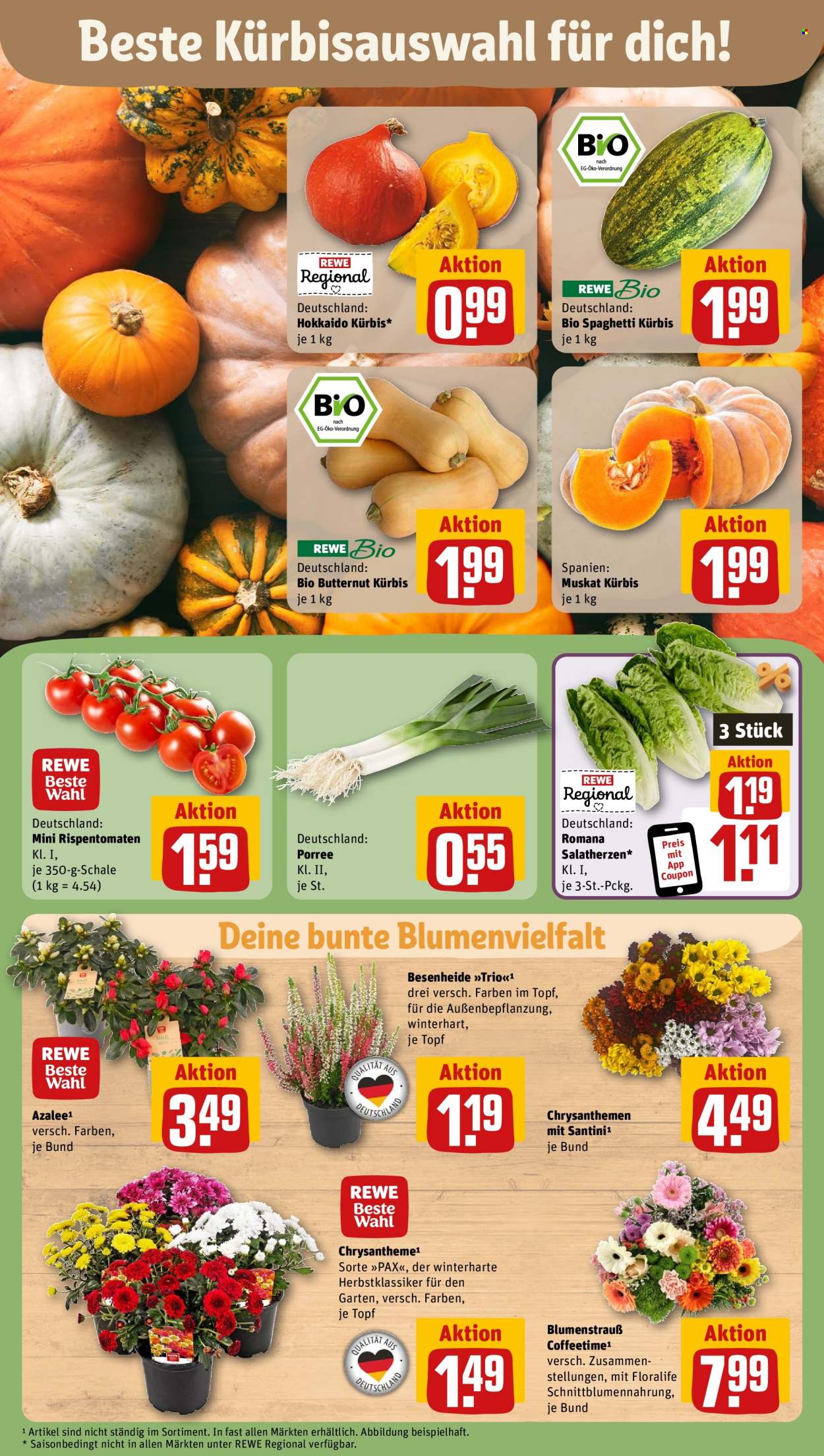 Prospekte REWE - 7.10.2024 - 12.10.2024. Seite 7