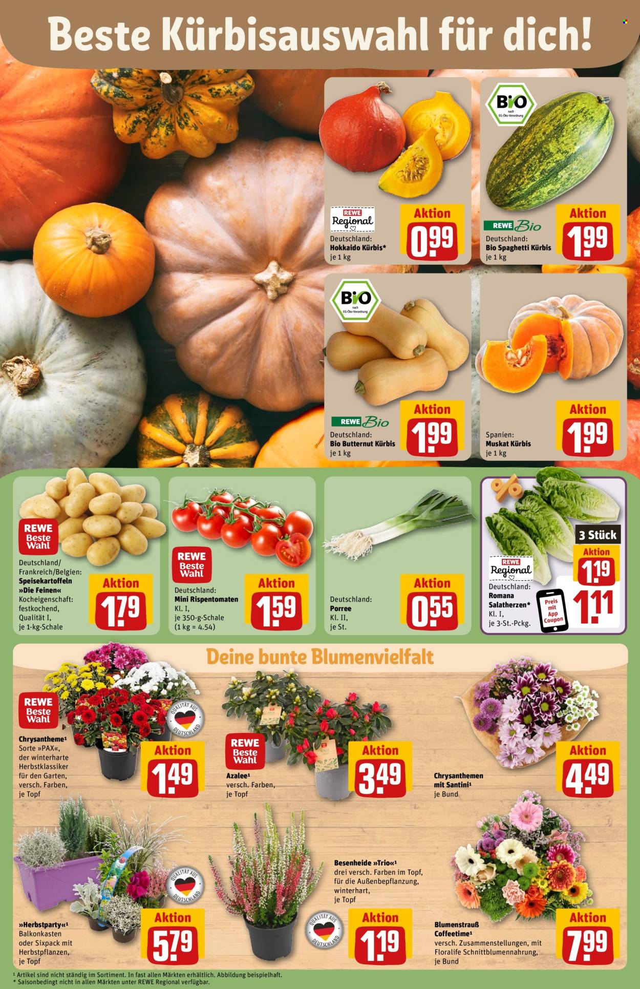 Prospekte REWE - 7.10.2024 - 12.10.2024. Seite 7