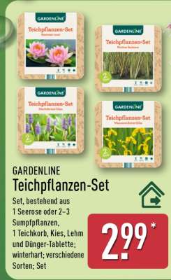 GARDENLINE Teichpflanzen-Set