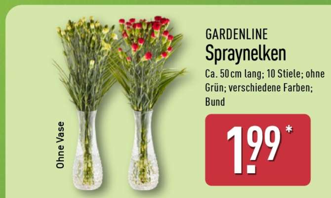 GARDENLINE Spraynelken