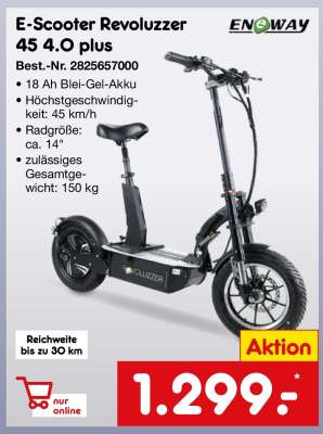 E-Scooter Revoluzzer 45 4.0 plus