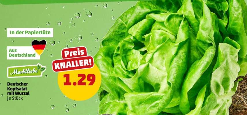 Deutscher Kopfsalat mit Wurzel