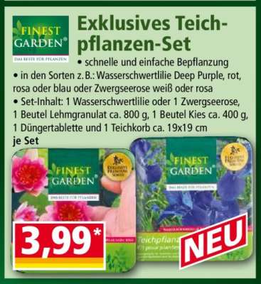 Exklusives Teichpflanzen-Set