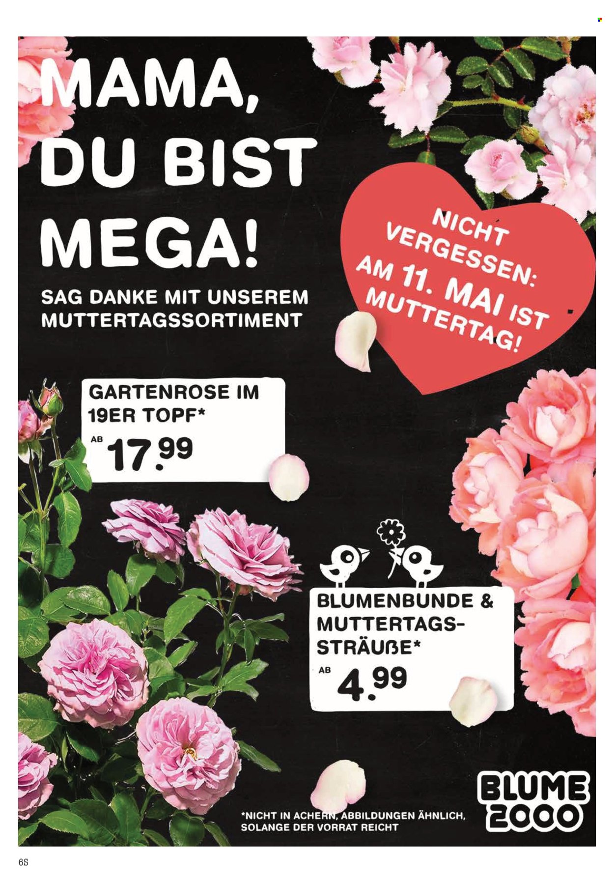 Scheck-in Prospekte  - 5.05.2025 - 10.05.2025. Seite 1