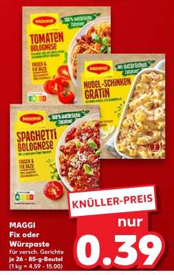MAGGI Fix oder Würzpaste