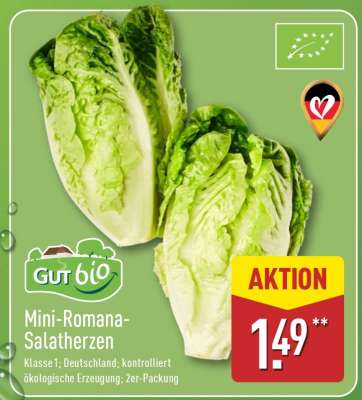 Mini-Romana- Salatherzen