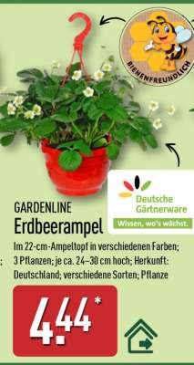 GARDENLINE Erdbeerampel