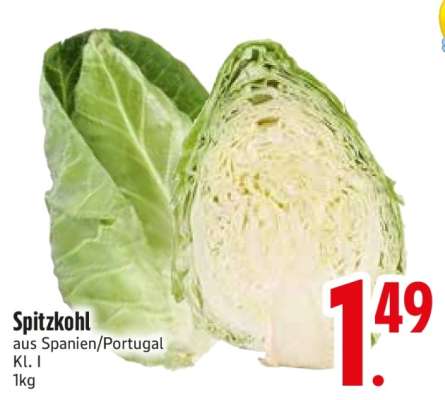 Spitzkohl