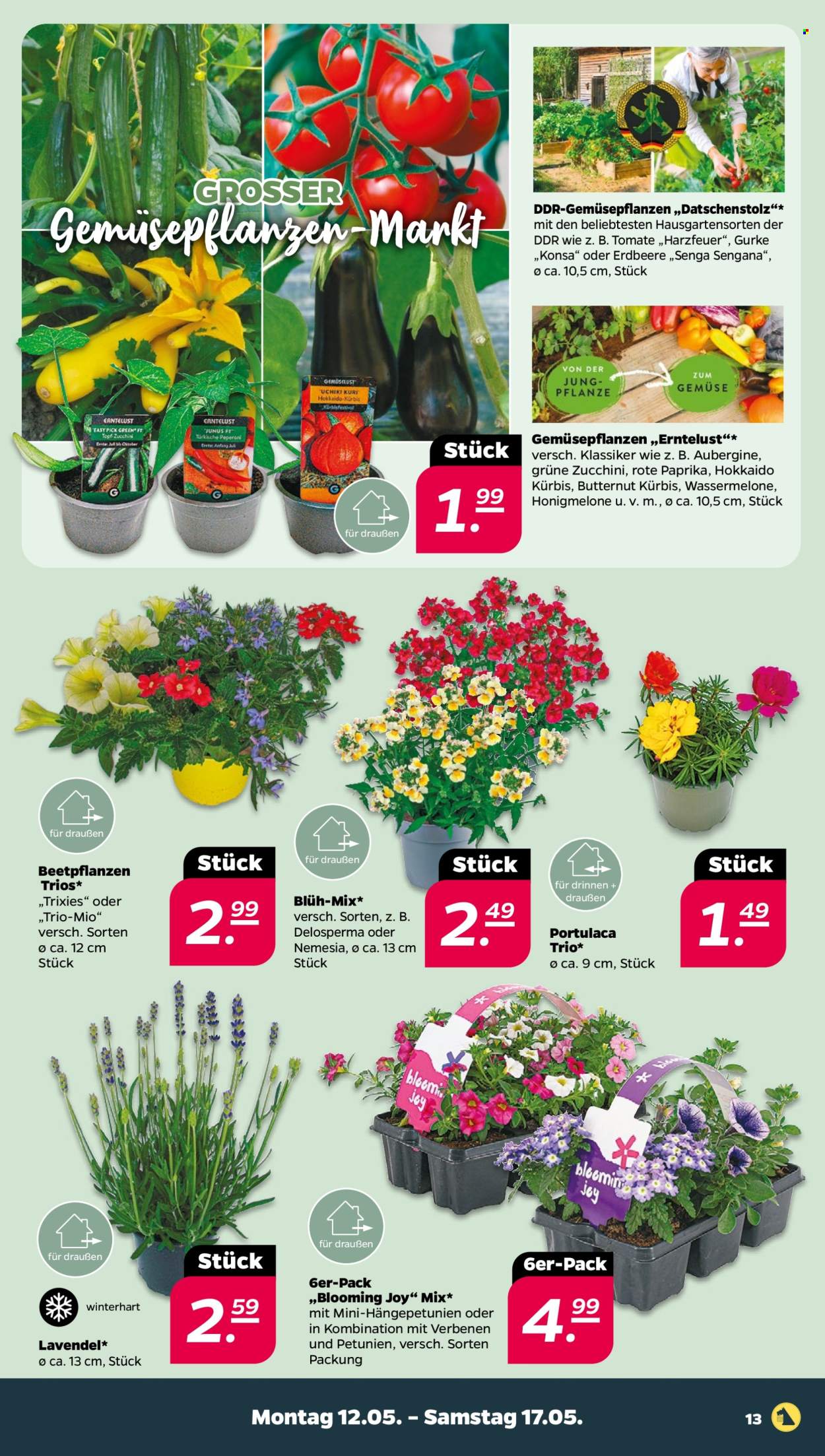 Netto Prospekte  - 12.05.2025 - 17.05.2025. Seite 1