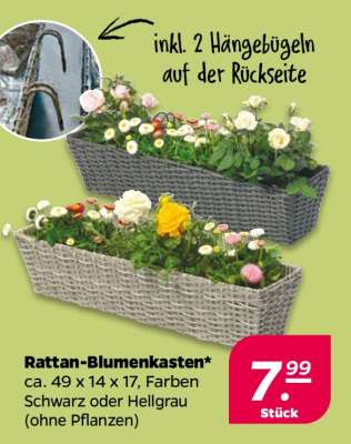 Rattan-Blumenkasten*