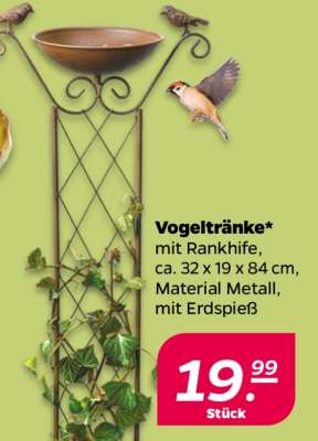 Vogeltränke