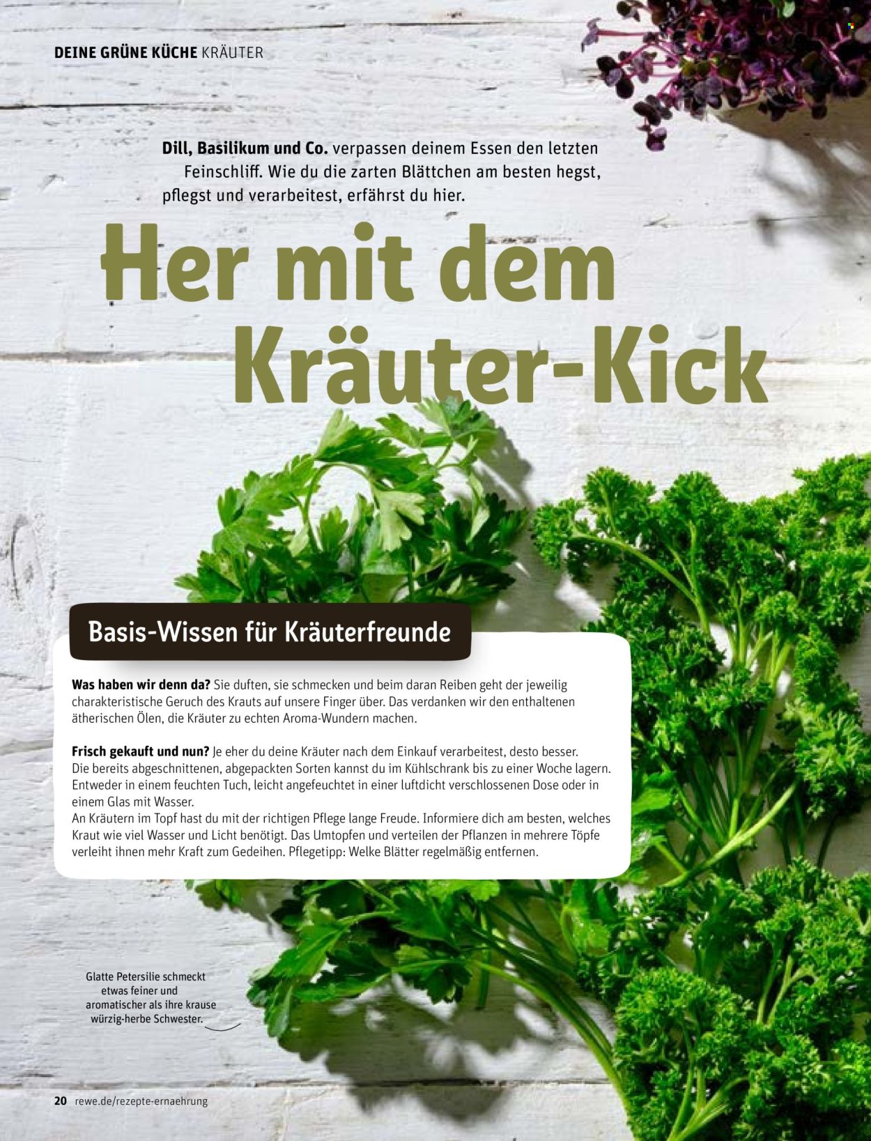 REWE Prospekte . Seite 1