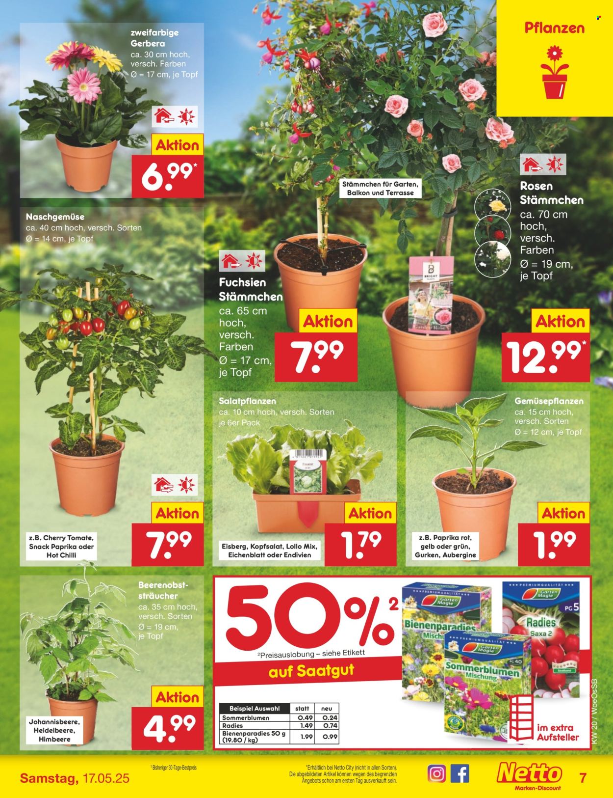 Netto Marken-Discount Prospekte  - 12.05.2025 - 17.05.2025. Seite 1
