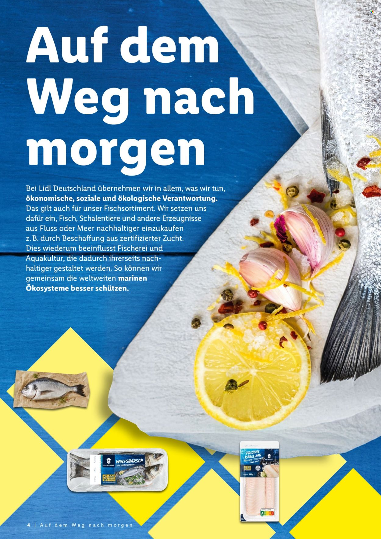 Lidl Prospekte . Seite 4
