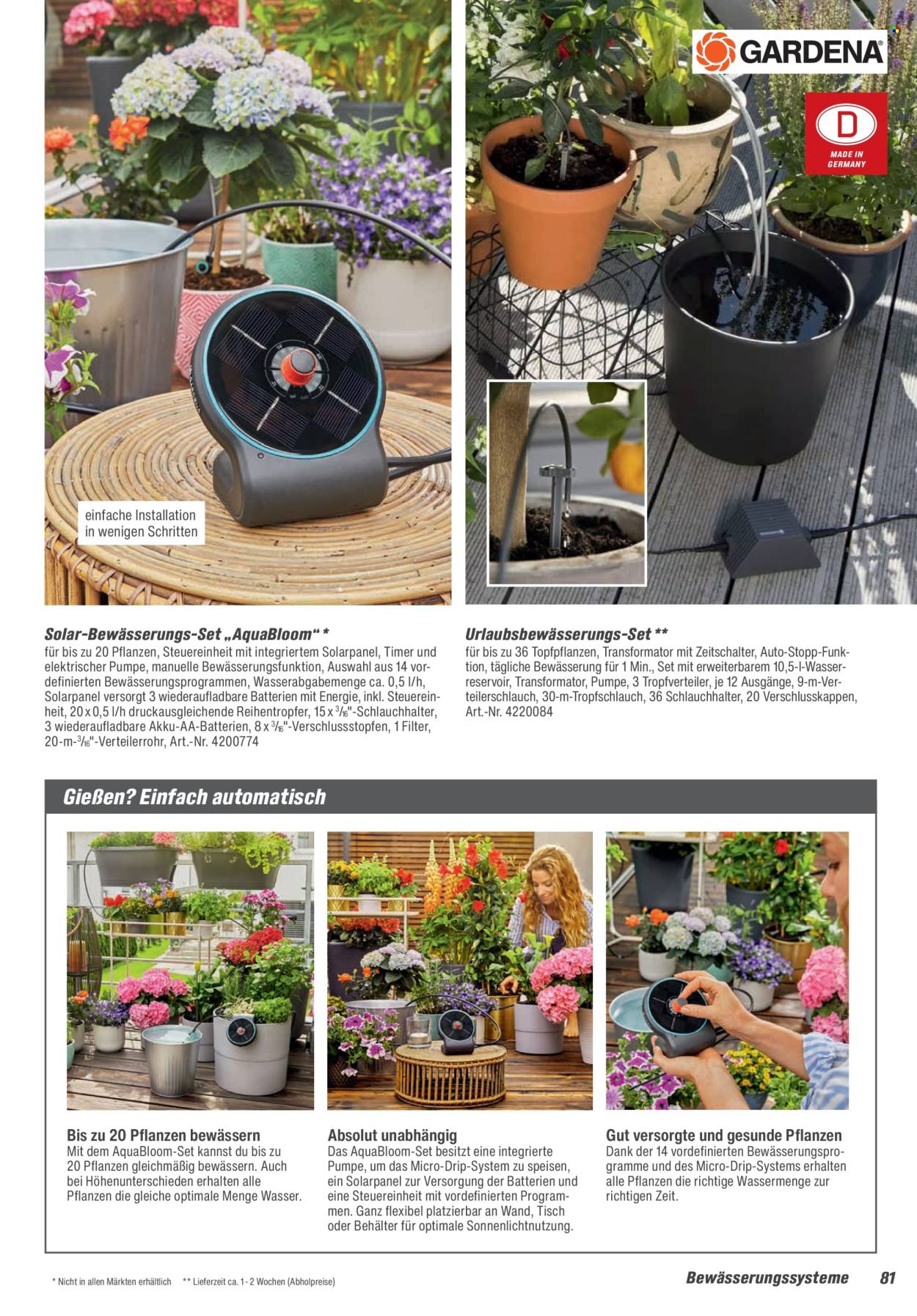 toom Baumarkt Prospekte  - 21.02.2026 - 30.06.2026. Seite 81