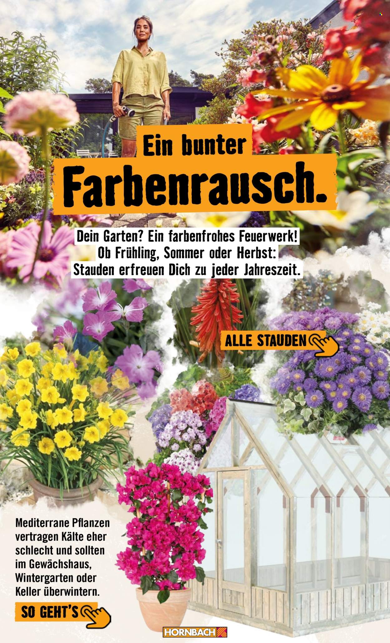 Hornbach Prospekte . Seite 19