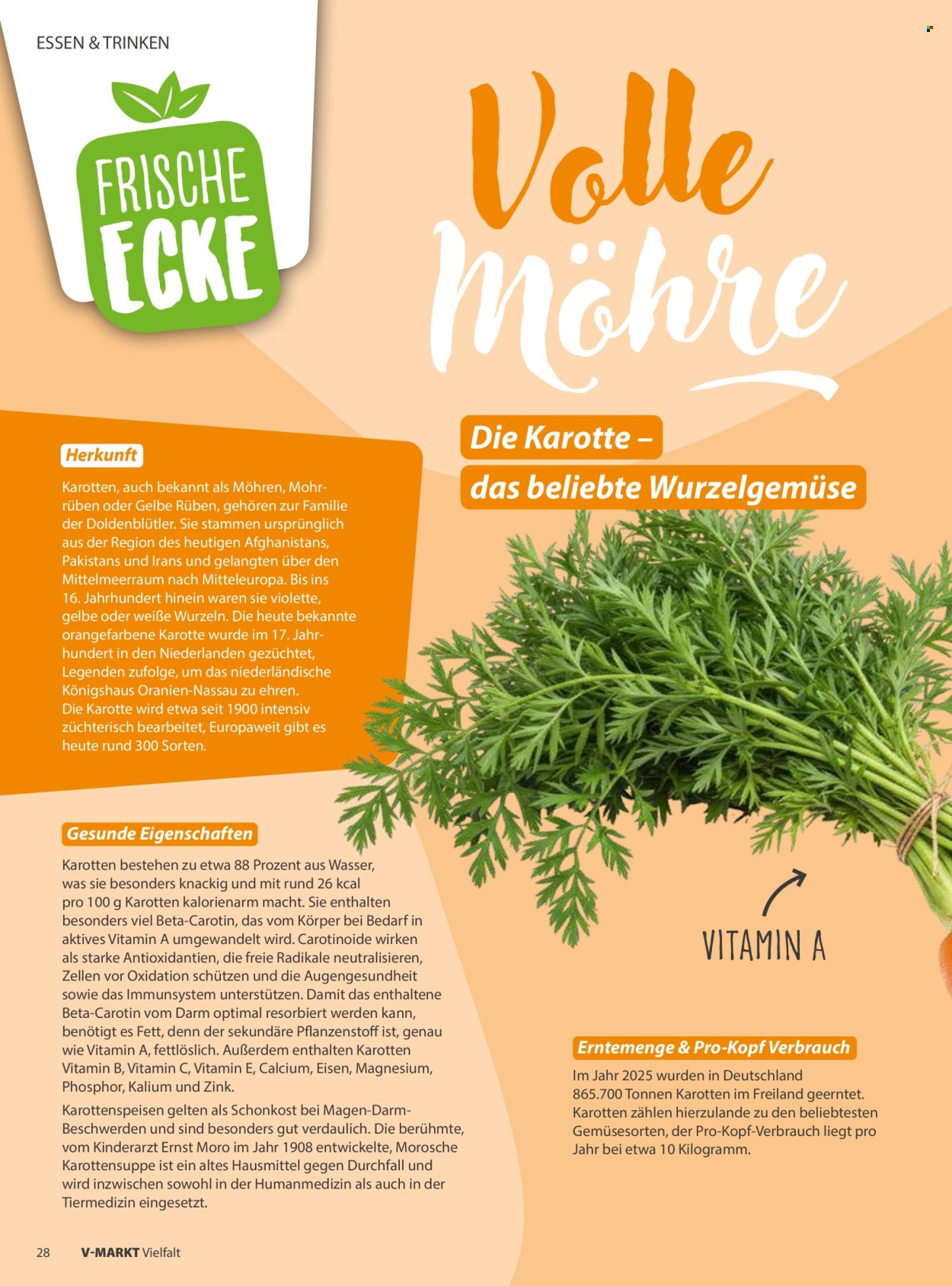 V-Markt Prospekte  - 1.05.2026 - 30.06.2026. Seite 28