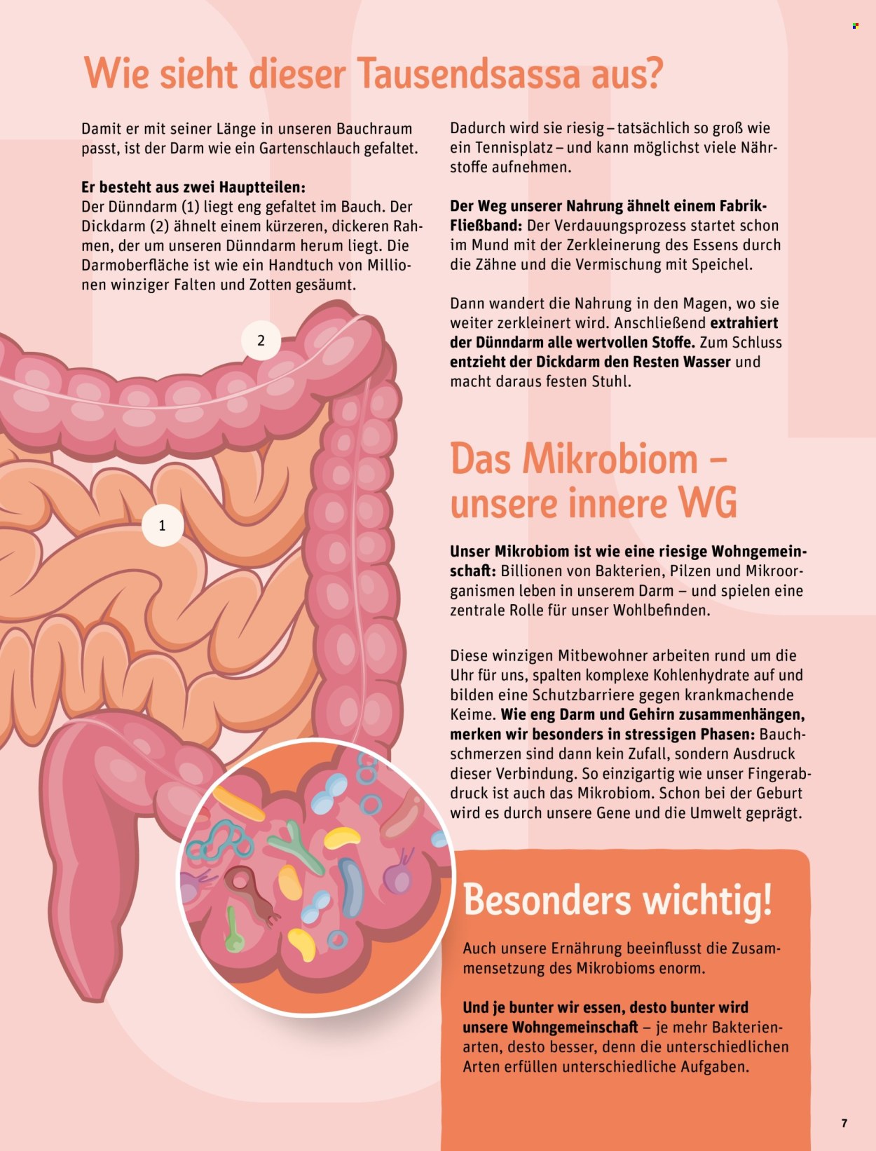 REWE Prospekte . Seite 6