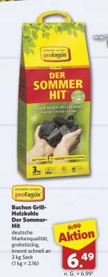 Buchen Grill-Holzkohle Der Sommer-Hit