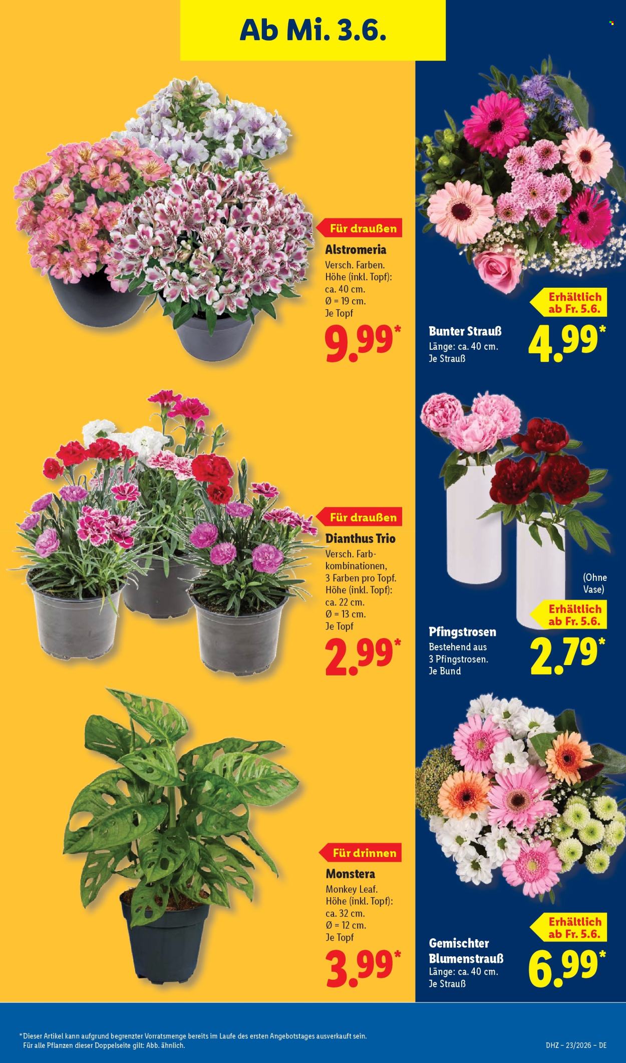 Lidl Prospekte  - 1.06.2026 - 6.06.2026. Seite 73