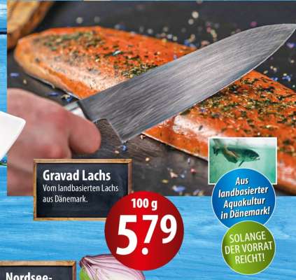 Gravad Lachs