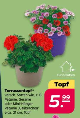 Terrassentopf