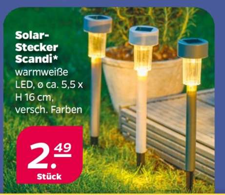 Solar-Stecker Scandi