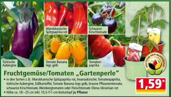 Fruchtgemüse/Tomaten „Gartenperle“