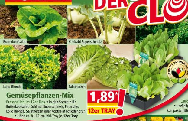 Gemüsepflanzen-Mix