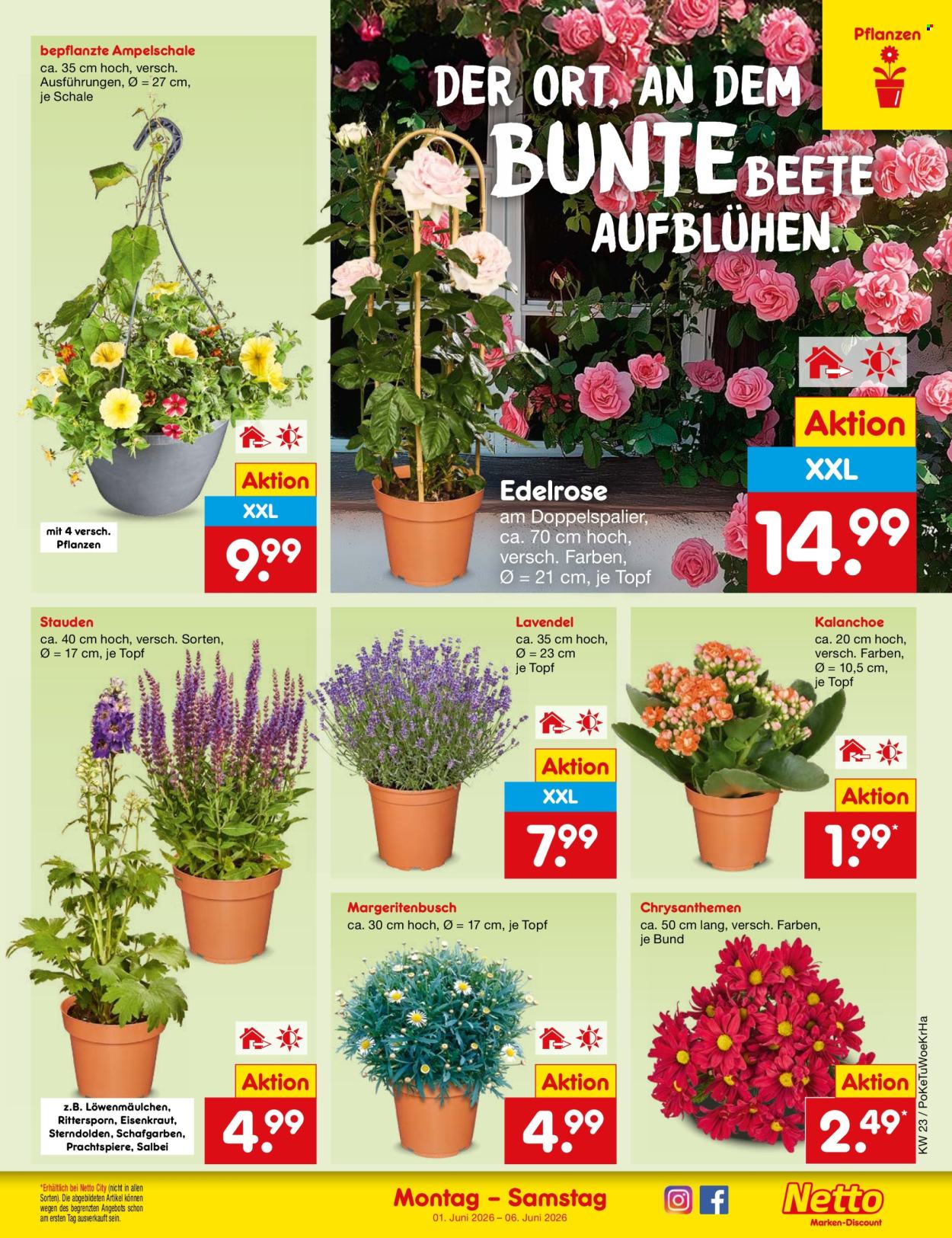 Netto Marken-Discount Prospekte  - 1.06.2026 - 6.06.2026. Seite 7