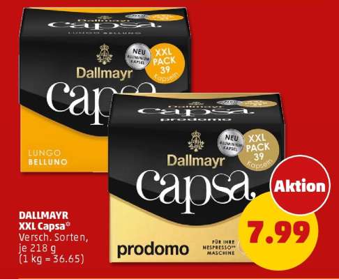 DALLMAYR XXL Capsa