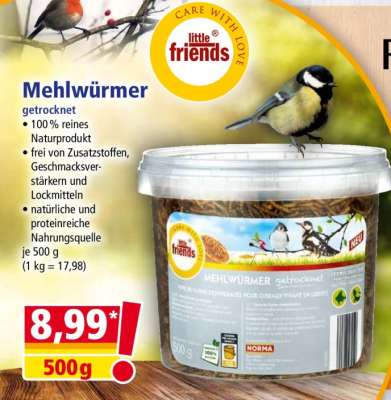Mehlwürmer