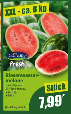 Riesenwassermelone