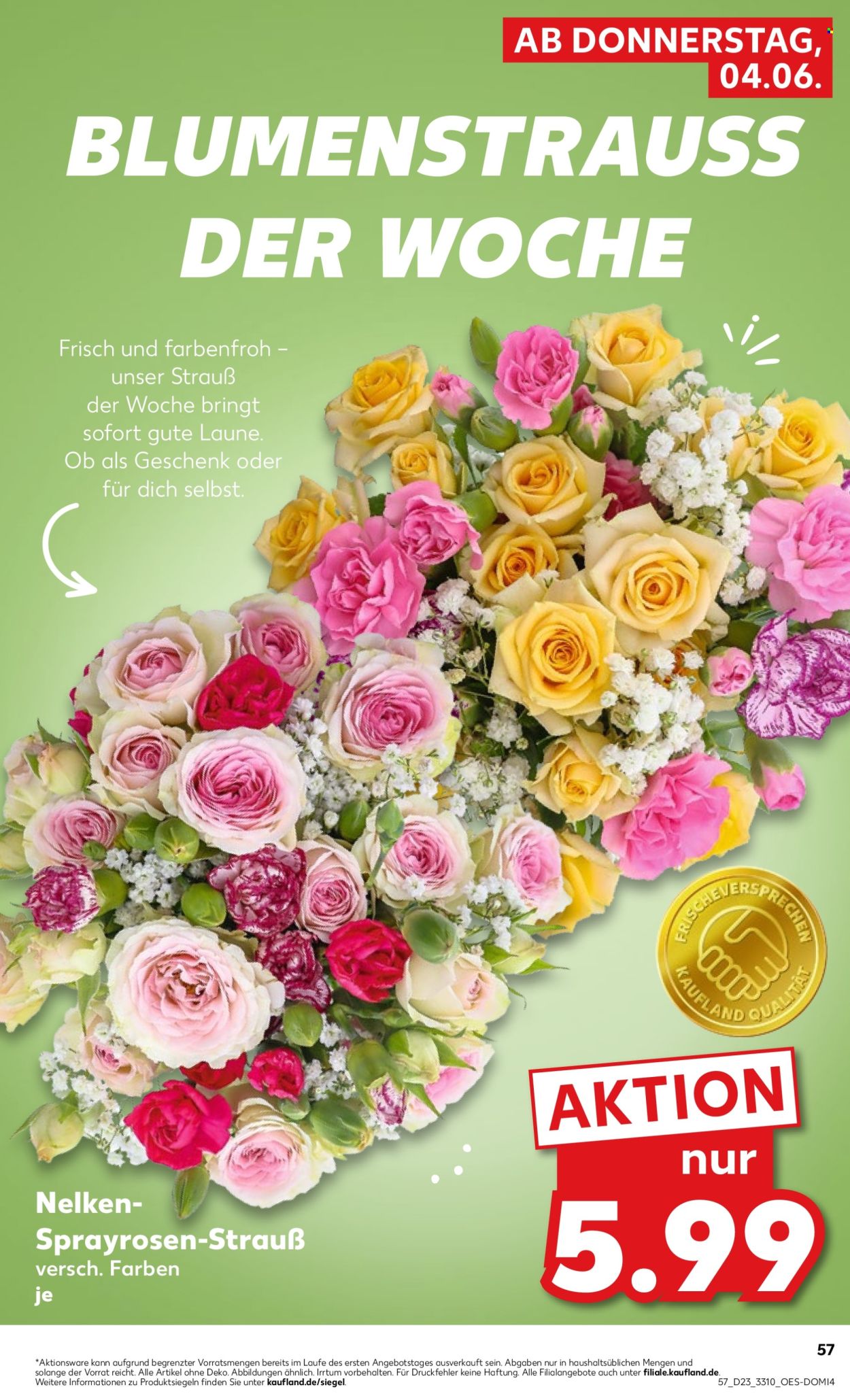 Kaufland Prospekte  - 4.06.2026 - 10.06.2026. Seite 66