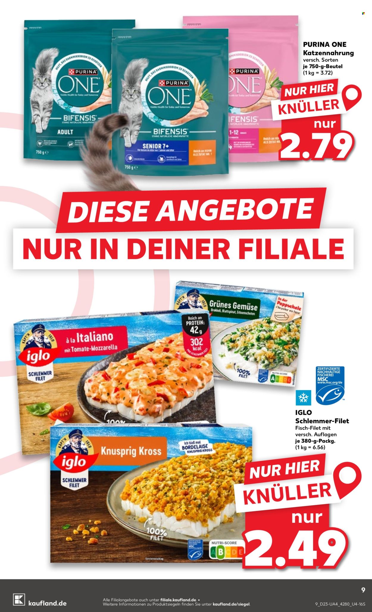 Kaufland Prospekte  - 4.06.2026 - 10.06.2026. Seite 9