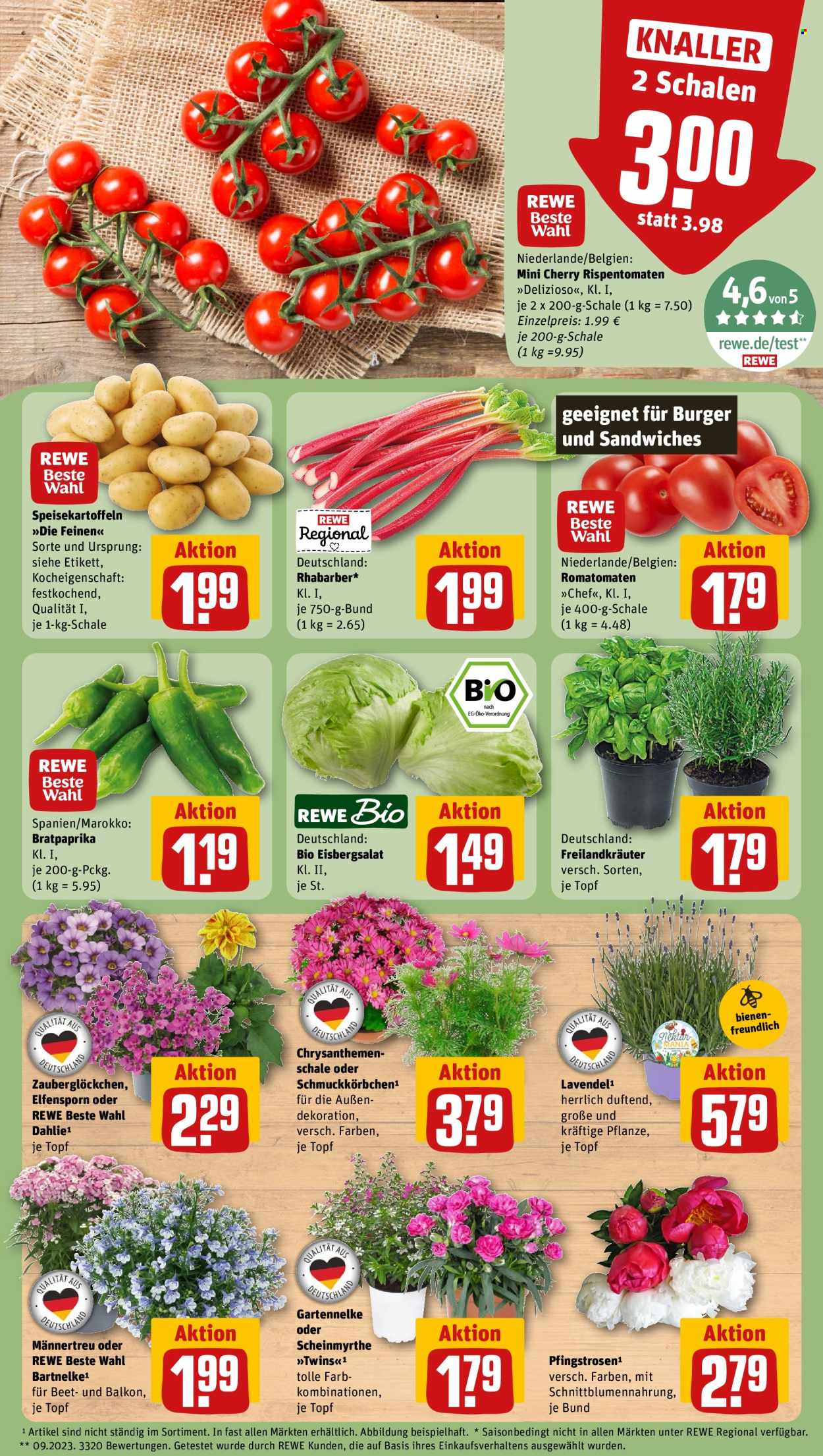 REWE Prospekte  - 1.06.2026 - 7.06.2026. Seite 5