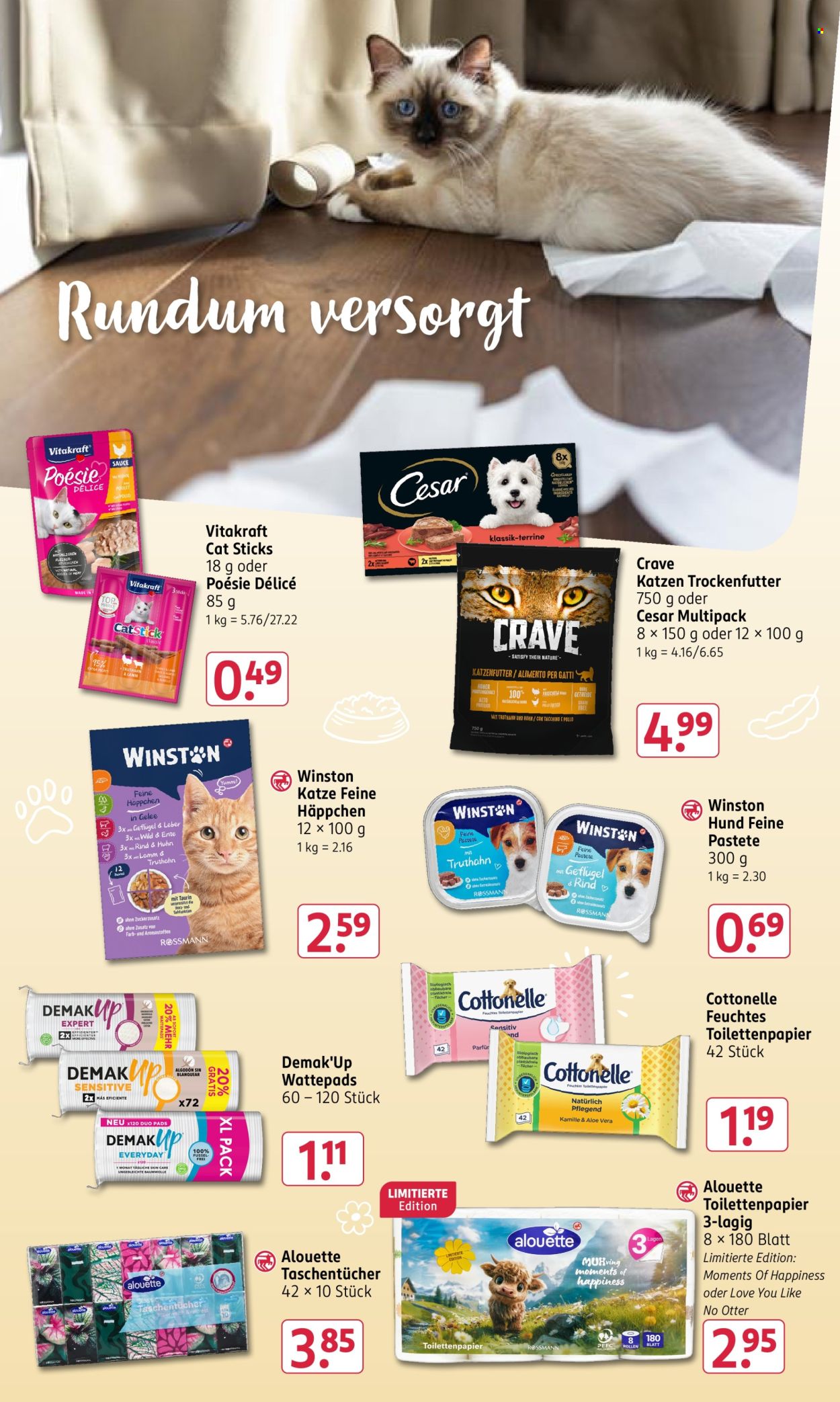 Rossmann Prospekte  - 1.06.2026 - 5.06.2026. Seite 17