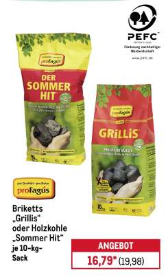 Briketts „Grillis“ oder Holzkohle „Sommer Hit“
