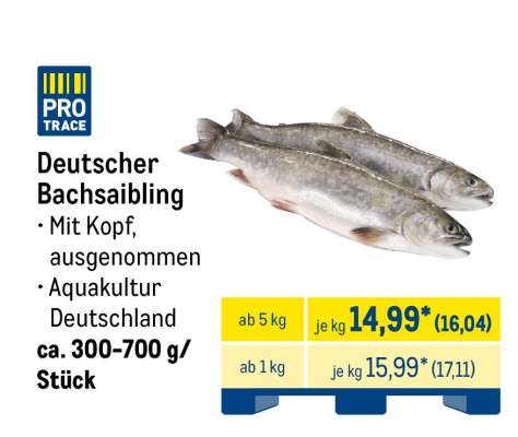 Deutscher Bachsaibling