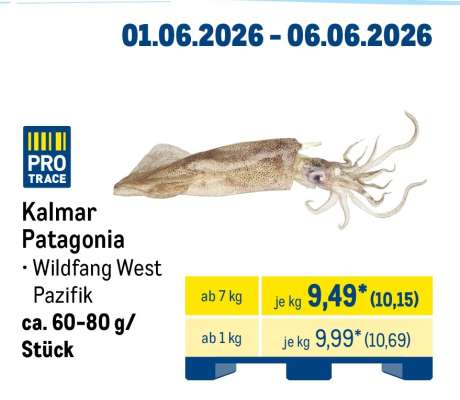 Kalmar Patagonia