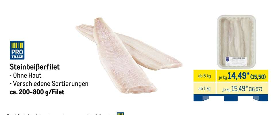 Steinbeißerfilet