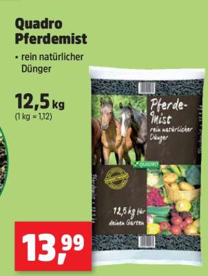 Quadro Pferdemist