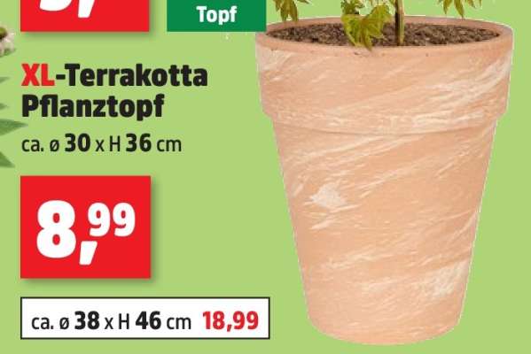 XL-Terrakotta Pflanztopf