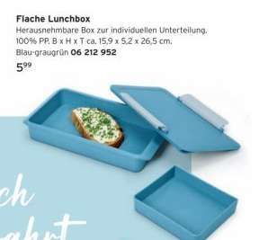 Flache Lunchbox
